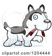 Poster, Art Print Of Cute Husky Puppy Dog Carrying A Leash