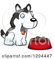 Poster, Art Print Of Cute Husky Puppy Dog With A Food Bowl