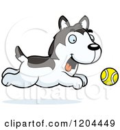 Poster, Art Print Of Cute Husky Puppy Dog Chasing A Ball