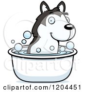 Poster, Art Print Of Cute Husky Puppy Dog Taking A Bath