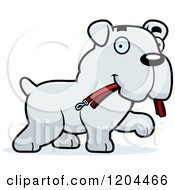Poster, Art Print Of Cute Bulldog Puppy Dog Carrying A Leash