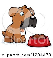 Cute Boxer Puppy Dog Sitting By Food