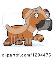 Cartoon Of A Cute Boxer Puppy Dog Walking Royalty Free Vector Clipart