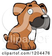 Poster, Art Print Of Cute Boxer Puppy Dog Sitting