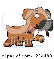 Poster, Art Print Of Cute Boxer Puppy Dog Carrying A Leash