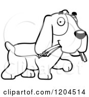 Black And White Cute Hound Dog Carrying A Leash