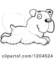 Poster, Art Print Of Black And White Cute Bulldog Puppy Dog Running