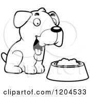 Black And White Cute Boxer Puppy Dog Sitting By Food