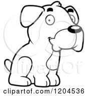 Poster, Art Print Of Black And White Cute Boxer Puppy Dog Sitting