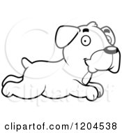 Cartoon Of A Black And White Cute Boxer Puppy Dog Running Royalty Free Vector Clipart
