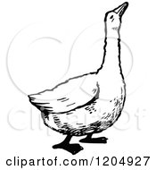 Clipart Of A Vintage Black And White Goose Royalty Free Vector Illustration