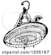 Clipart Of A Vintage Black And White Petticoat Lady Royalty Free Vector Illustration