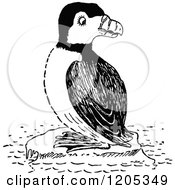 Vintage Black And White Puffin