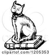 Poster, Art Print Of Vintage Black And White Cat Sitting On A Book