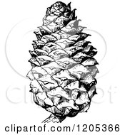 Clipart Of A Vintage Black And White Pine Cone Royalty Free Vector Illustration