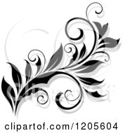 Poster, Art Print Of Black And White Flourish With A Shadow 16