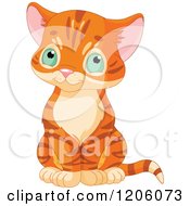 Poster, Art Print Of Cute Ginger Tabby Kitten Sitting