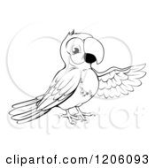 Poster, Art Print Of Black And White Presenting Parrot
