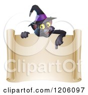 Poster, Art Print Of Black Cat Wearing A Witch Hat And Pointing Down At A Halloween Scroll Sign