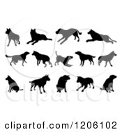 Poster, Art Print Of Black Silhouetted Dogs Jumping Walking And Playing