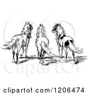 Clipart Of A Vintage Black And White Rear View Of Three Ponies Royalty Free Vector Illustration