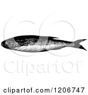 Clipart Of A Vintage Black And White Bleak Fish Royalty Free Vector Illustration