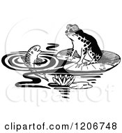 Poster, Art Print Of Vintage Black And White Frog And Fish
