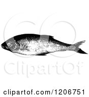 Clipart Of A Vintage Black And White Dace Fish Royalty Free Vector Illustration