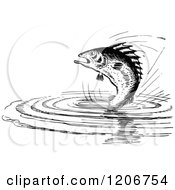 Poster, Art Print Of Vintage Black And White Fish Jumping From Water