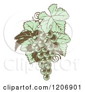 Poster, Art Print Of Gren Grapes With Leaves In Woodblock