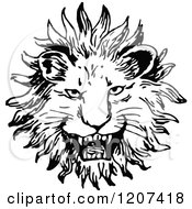 Poster, Art Print Of Vintage Black And White Lion Face