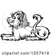 Poster, Art Print Of Vintage Black And White Resting Lion