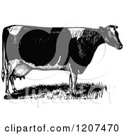 Clipart Of A Vintage Black And White Cow Royalty Free Vector Illustration