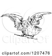 Poster, Art Print Of Vintage Black And White Owl Taking Flight