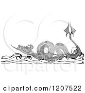 Poster, Art Print Of Vintage Black And White Sea Dragon