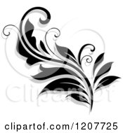 Poster, Art Print Of Black And White Flourish With A Shadow 17