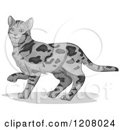 Poster, Art Print Of Cute Bengal Cat