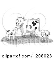 Poster, Art Print Of Dairy Cow And Two Calves On A Farm