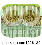 Poster, Art Print Of Mangrove Swamp With Visible Roots