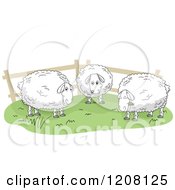 Poster, Art Print Of Fenced Pasture With Three Sheep