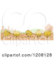 Poster, Art Print Of Row Of Cute Chicks On A Farm