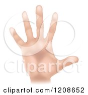 Cartoon Of A Human Hand Holding Up Five Fingers Royalty Free Vector Clipart by AtStockIllustration
