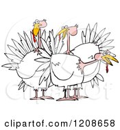 Cartoon Of A Small Flock Of White Turkeys Royalty Free Vector Clipart