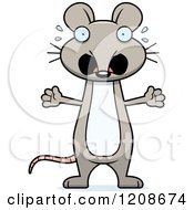 Poster, Art Print Of Scared Skinny Mouse