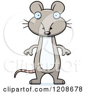 Poster, Art Print Of Surprised Skinny Mouse