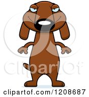Poster, Art Print Of Sly Skinny Dachshund Dog