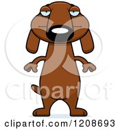 Poster, Art Print Of Bored Skinny Dachshund Dog