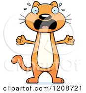 Cartoon Of A Scared Skinny Ginger Cat Royalty Free Vector Clipart by Cory Thoman