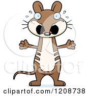 Cartoon Of A Scared Skinny Bandicoot Royalty Free Vector Clipart