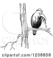 Clipart Of A Vintage Black And White Worm Bird On A Branch Royalty Free Vector Illustration